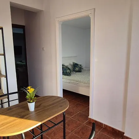 Teide Y Mar En Icod De Vinos * إيكود ذي لوس فينوس